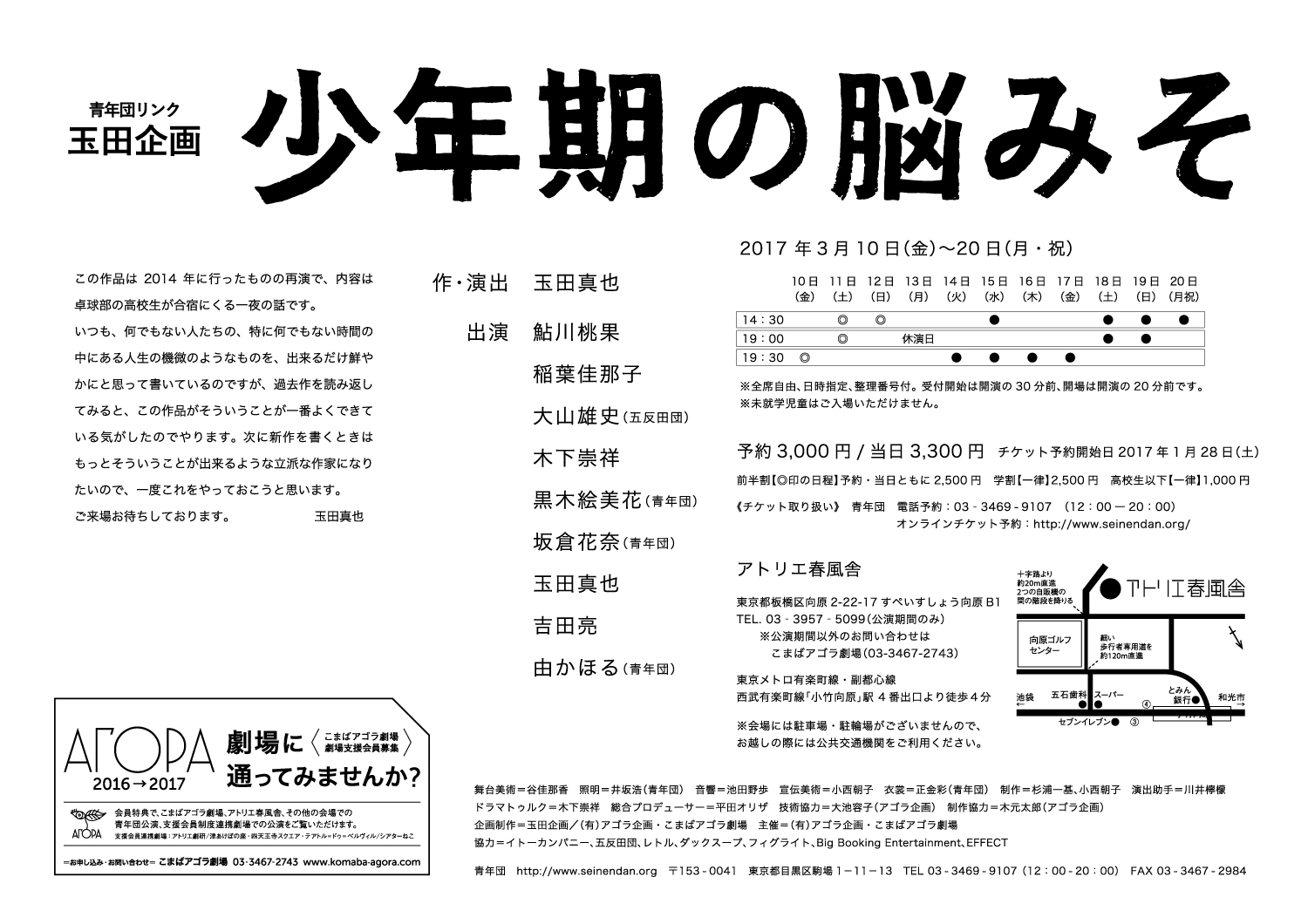 少年期の脳みそ_フライヤー/キービジュアル