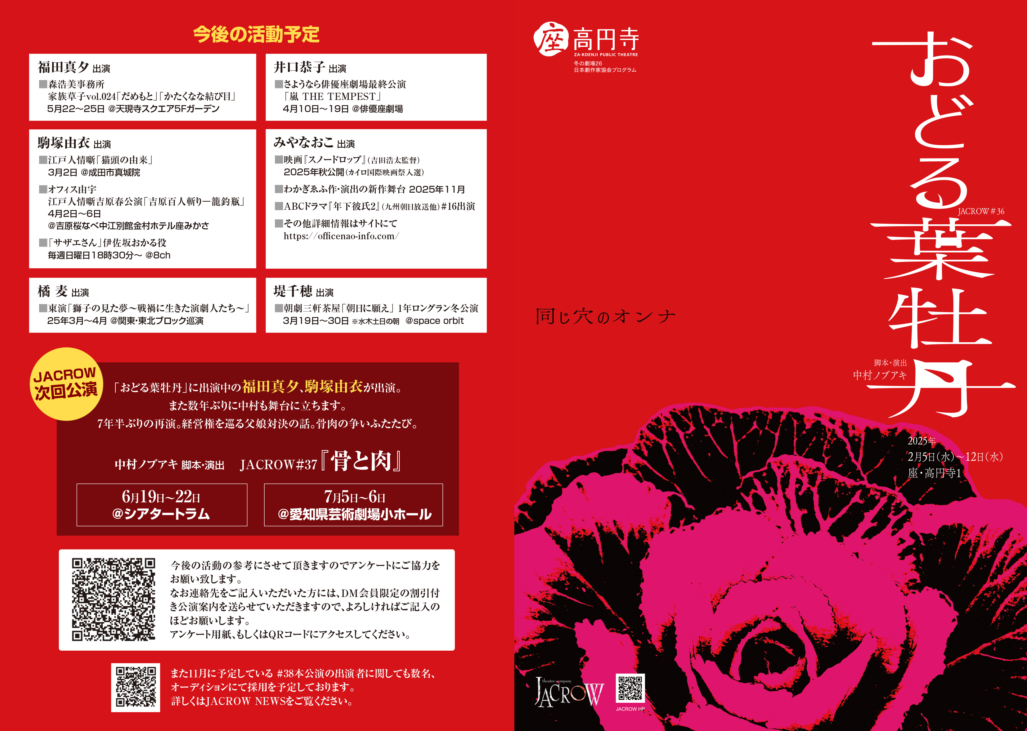 おどる葉牡丹_パンフレット