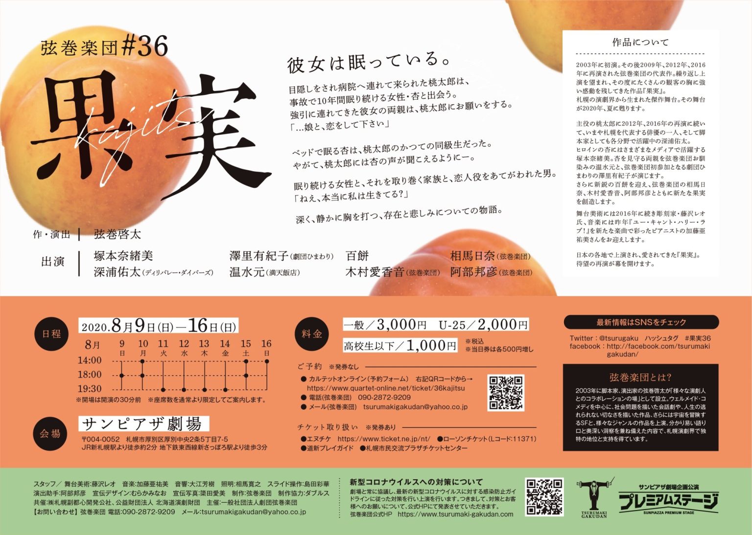 果実_フライヤー/キービジュアル