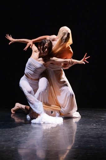 苫野美亜プロデュース　Dance Performance LIVE #10  10th Anniversary  「Danse Noble」_舞台写真