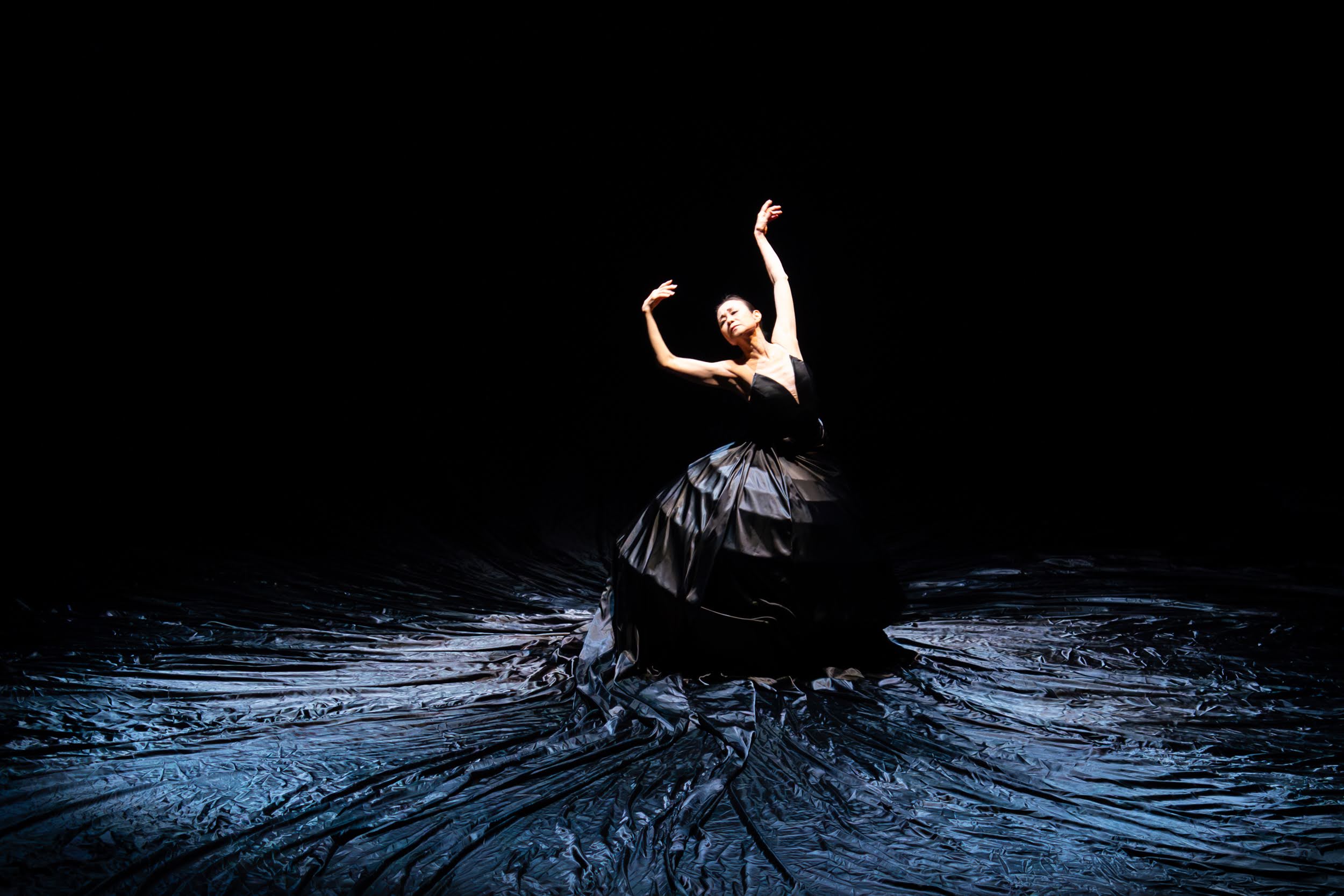 苫野美亜プロデュース　Dance Performance LIVE #10  10th Anniversary  「Danse Noble」_舞台写真