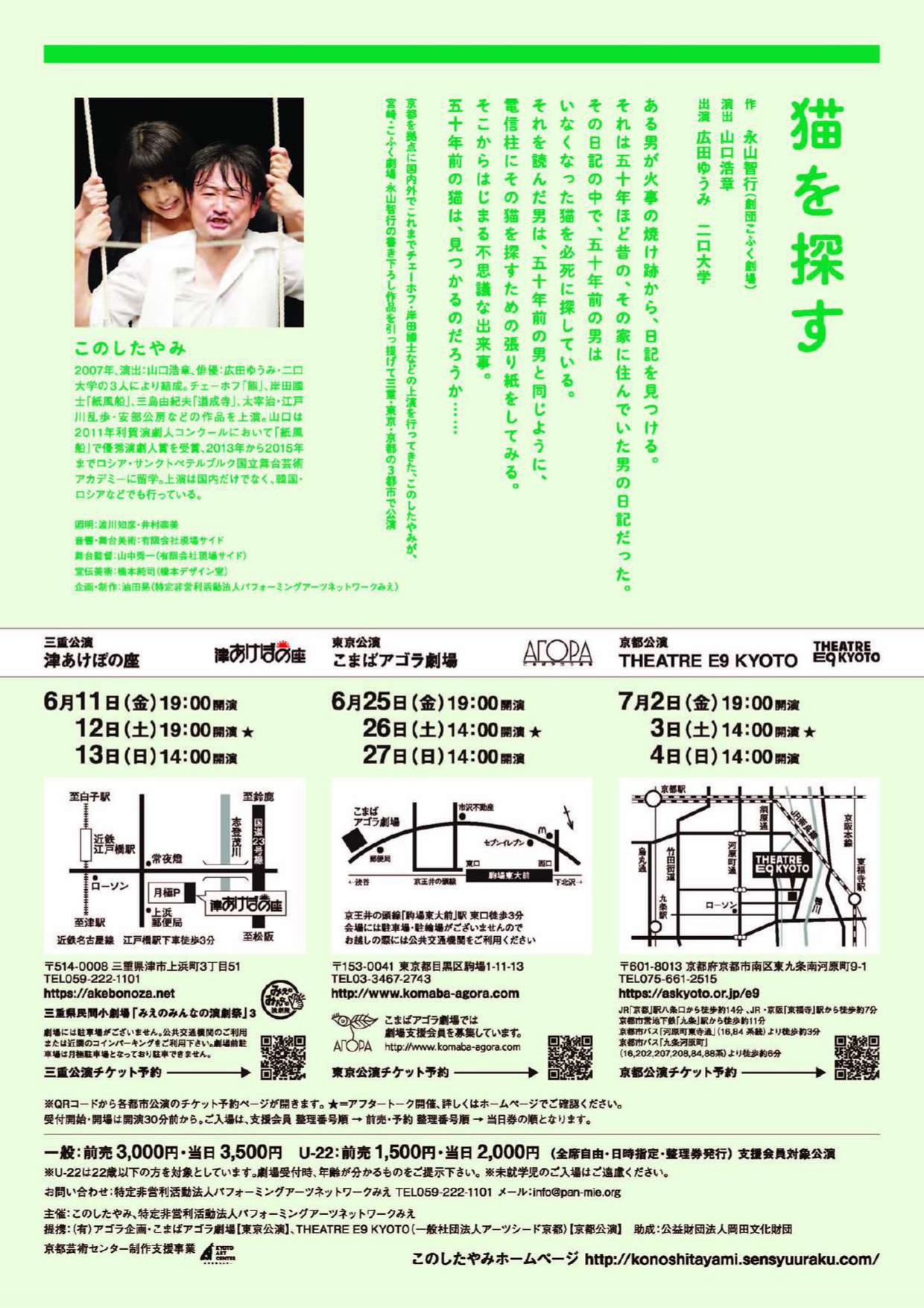 猫を探す_フライヤー/キービジュアル