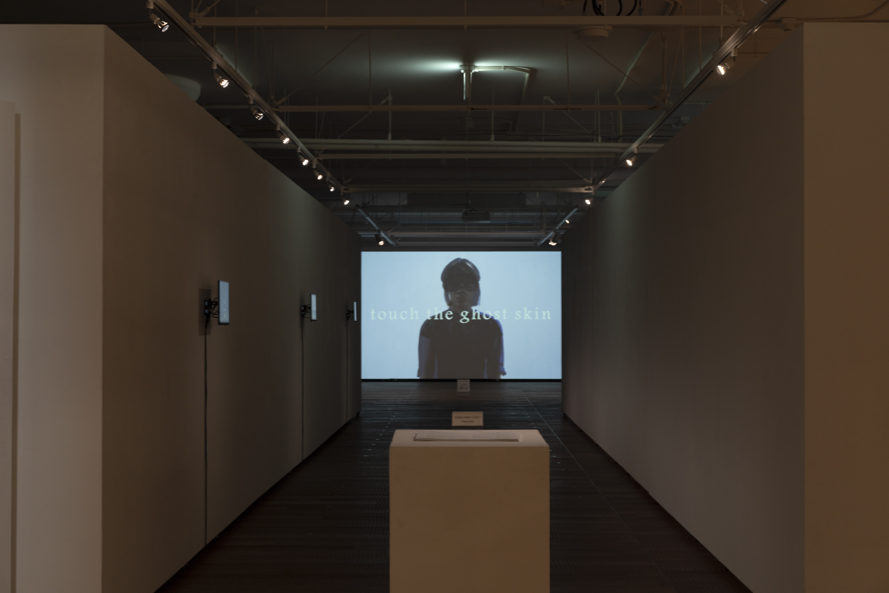 みえないけどいる -touch the ghost skin-_フライヤー/キービジュアル