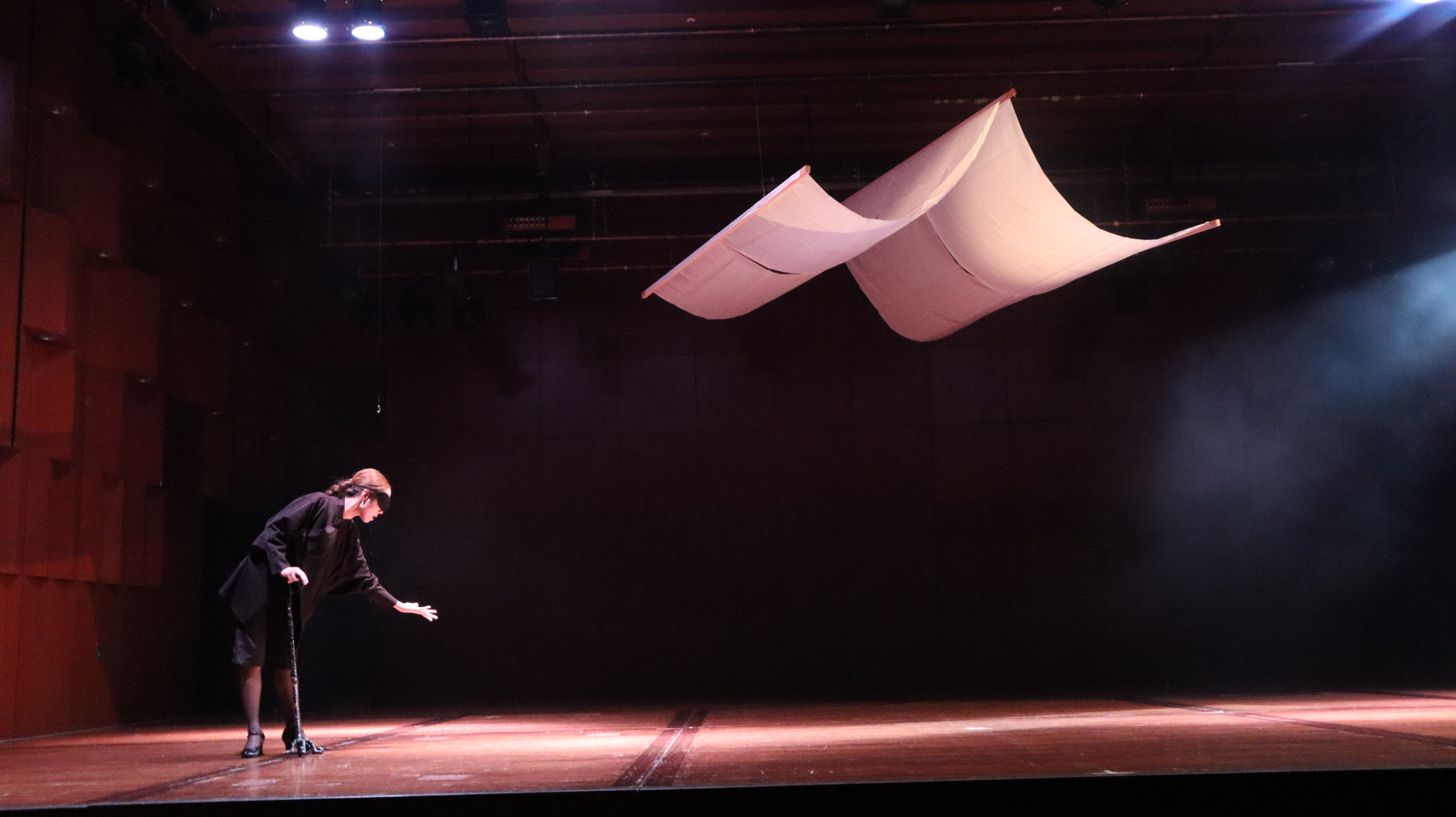 コレオグラフィモンタージュ「MOMOTARO」_舞台写真