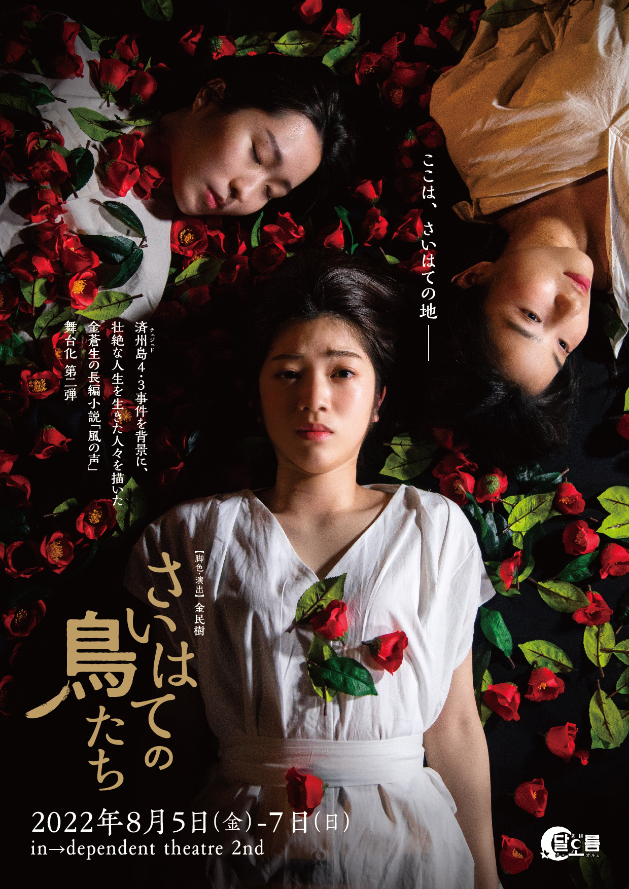 さいはての鳥たち_フライヤー/キービジュアル