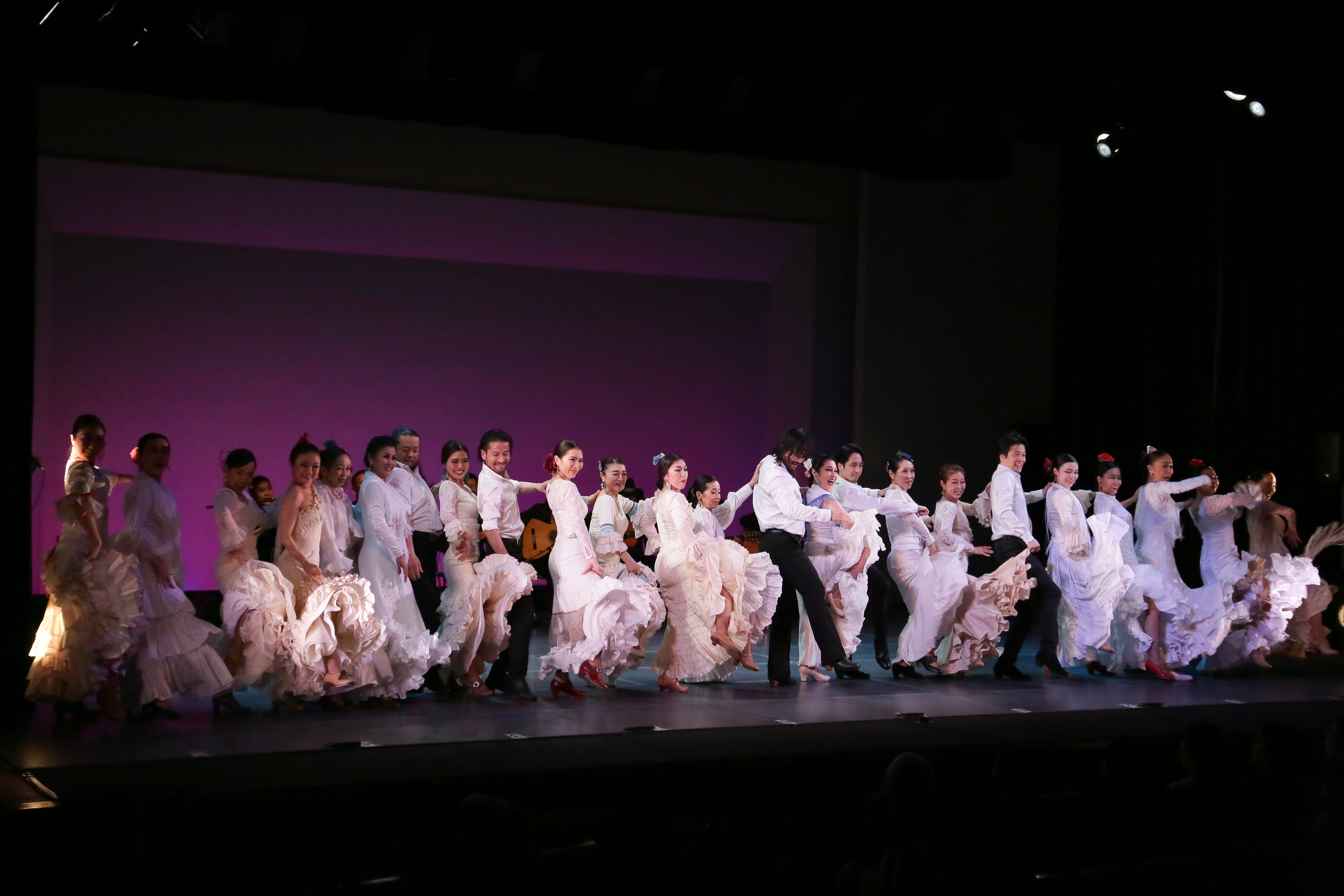 フラメンコのちから （初演）_舞台写真