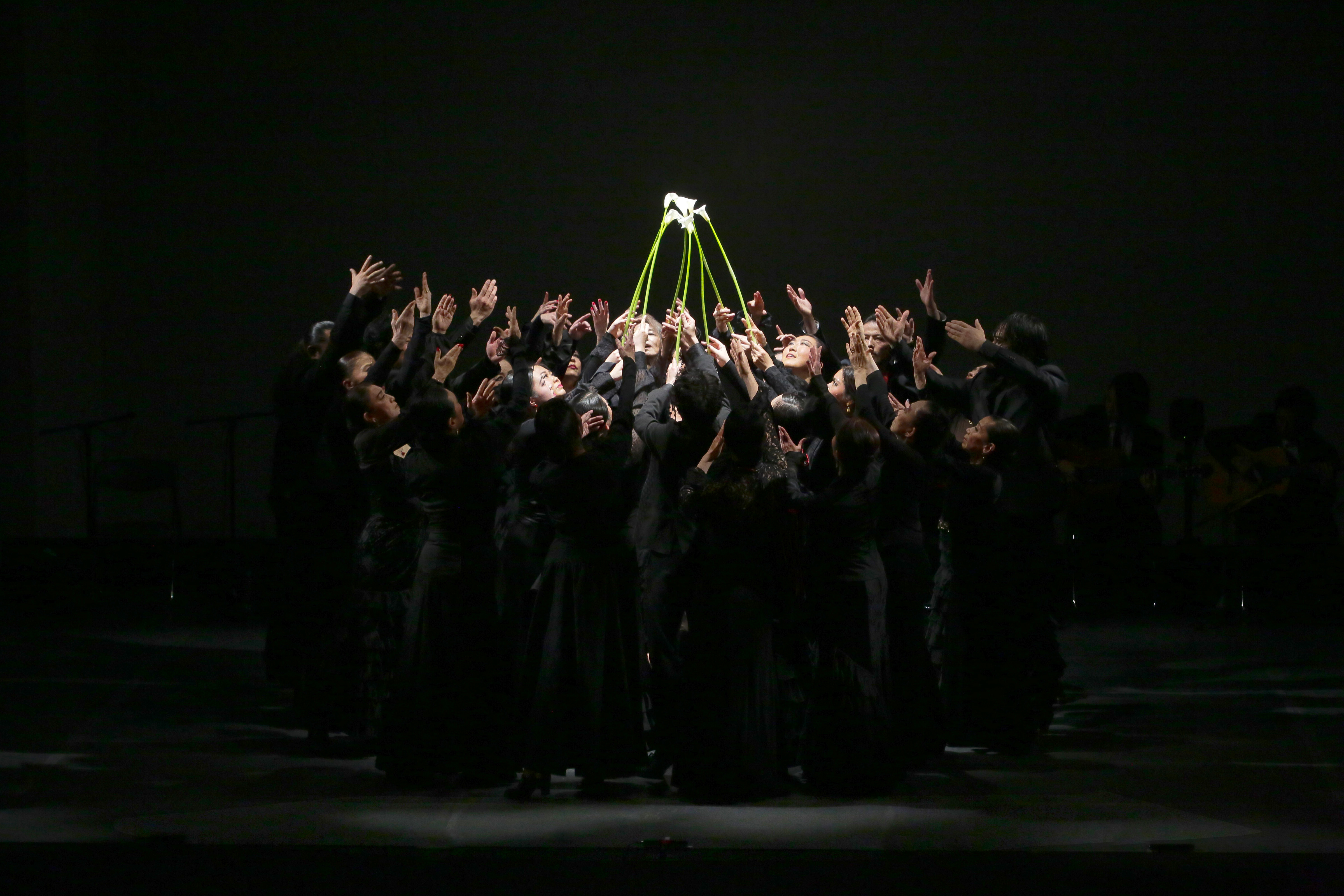 フラメンコのちから （初演）_舞台写真