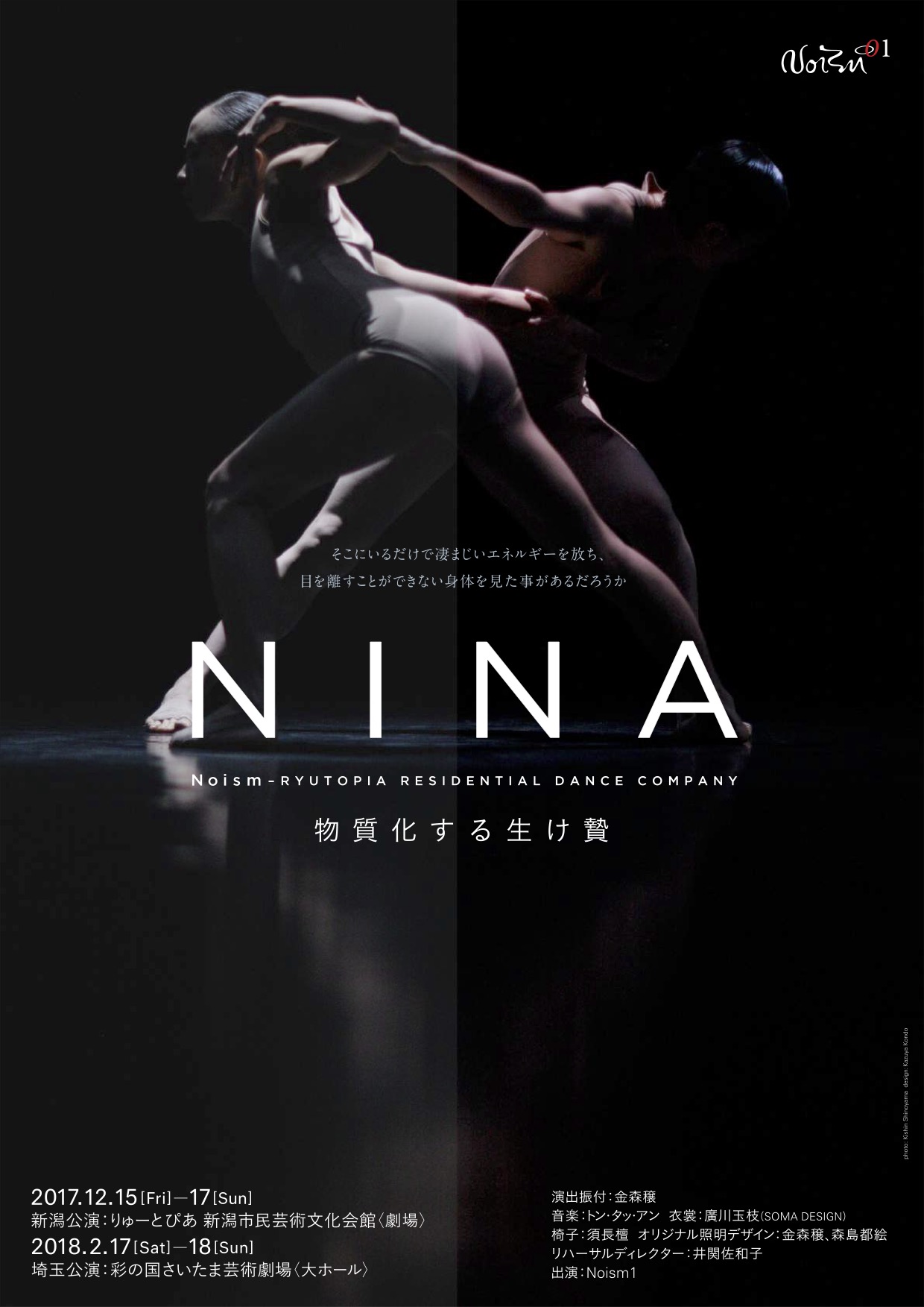 NINA－物質化する生け贄_フライヤー/キービジュアル