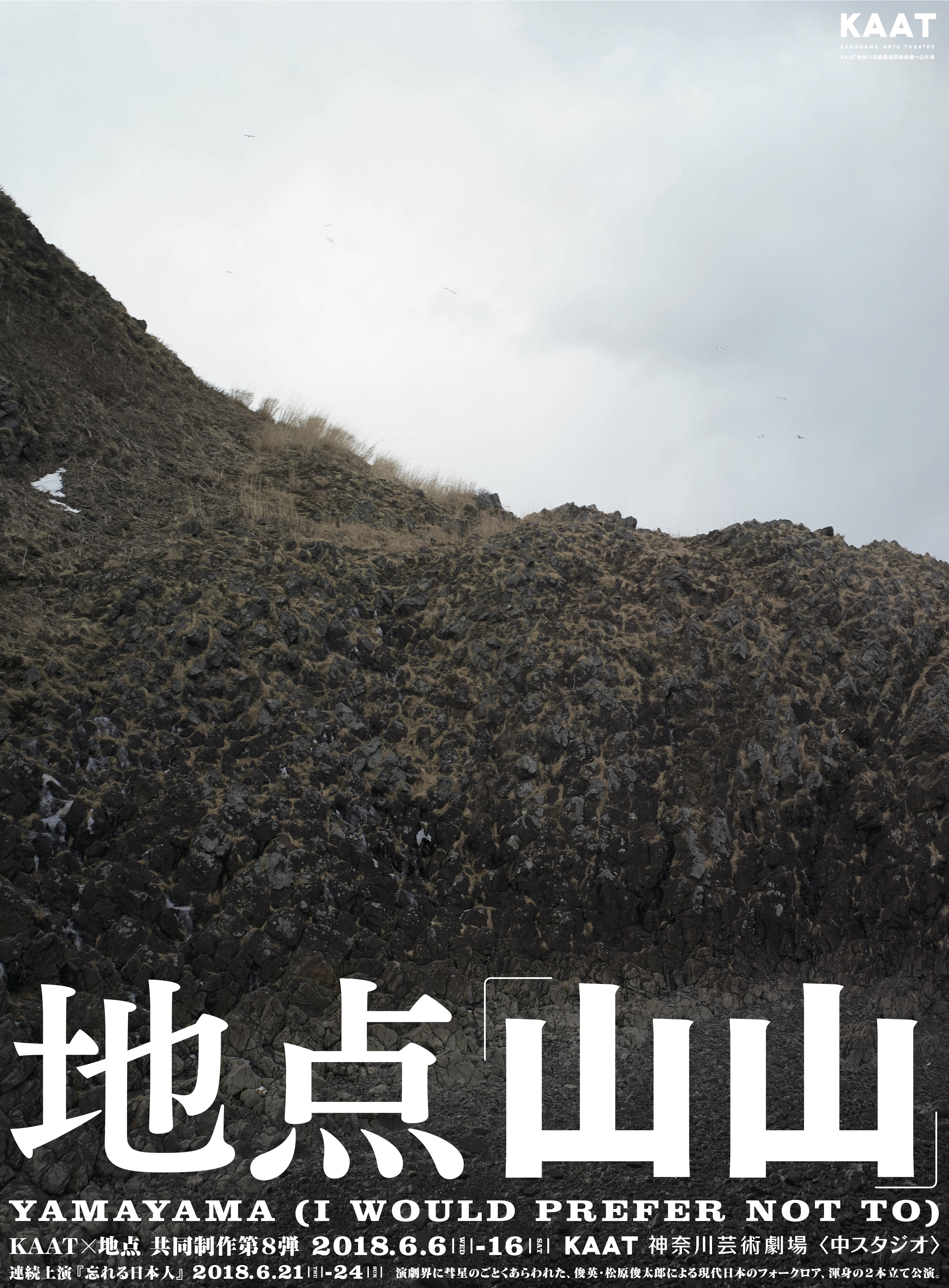 山山_パンフレット