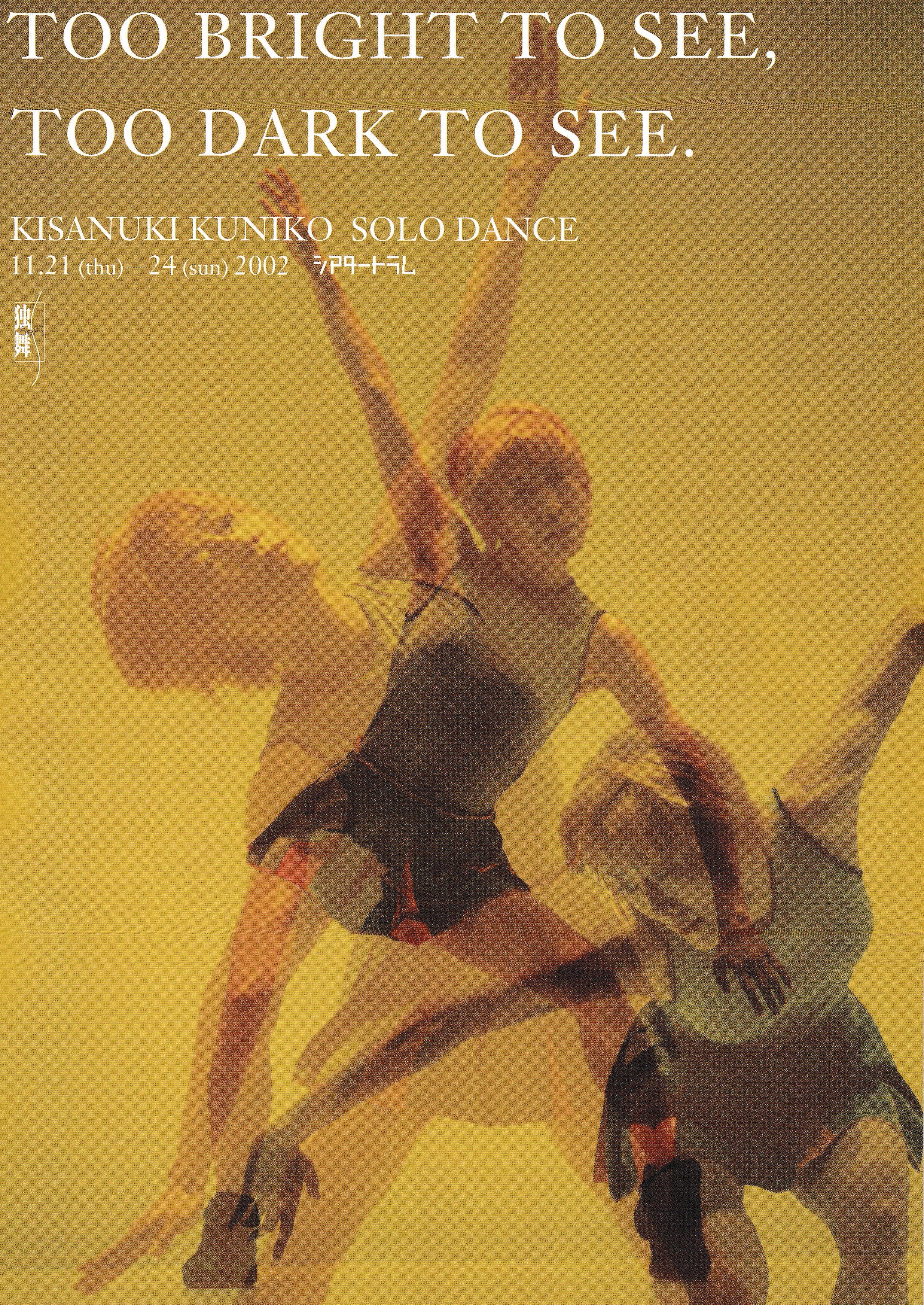 TOO BRIGHT TO SEE,TOO DARK TO SEE._フライヤー/キービジュアル