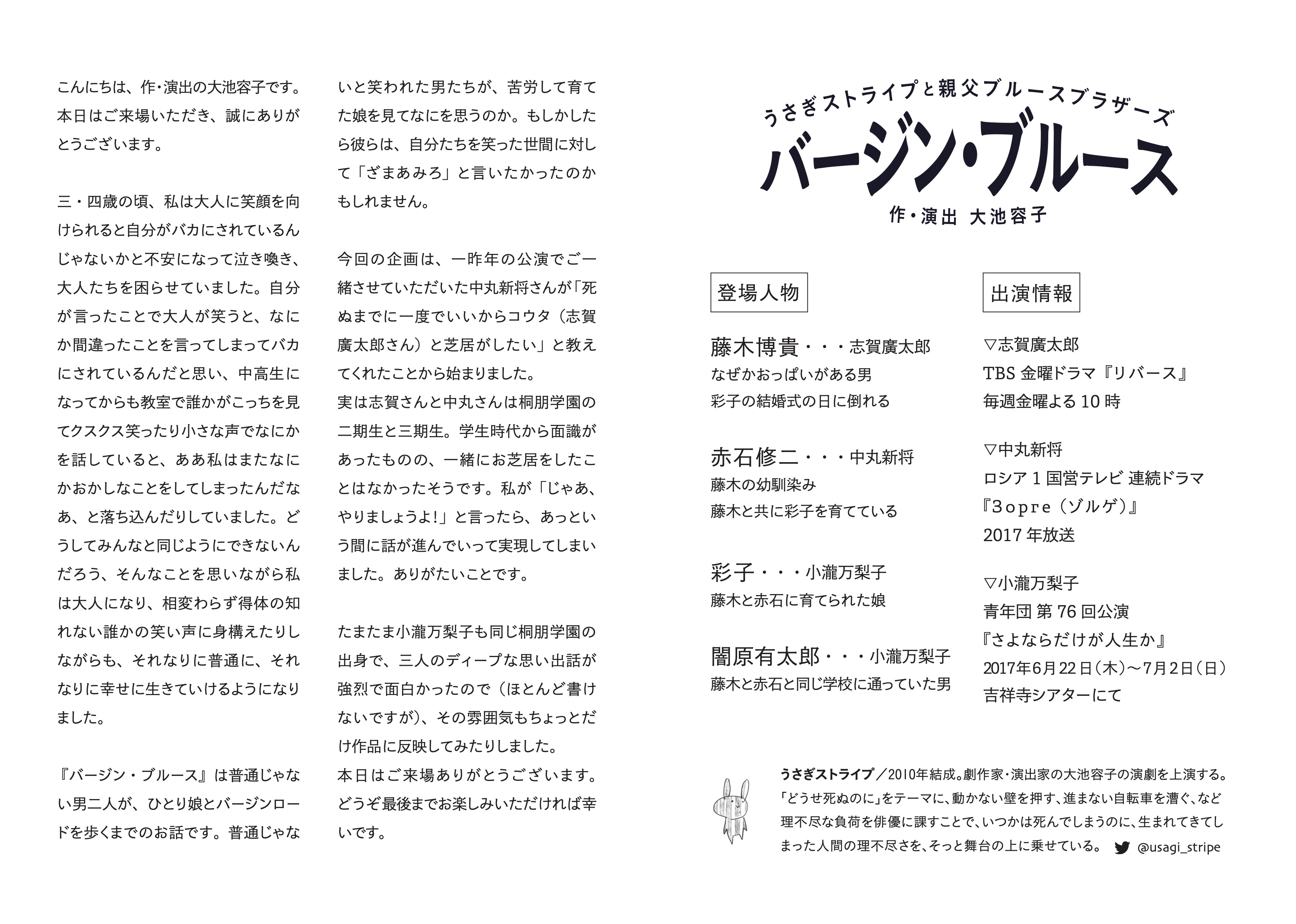 バージン・ブルース_パンフレット