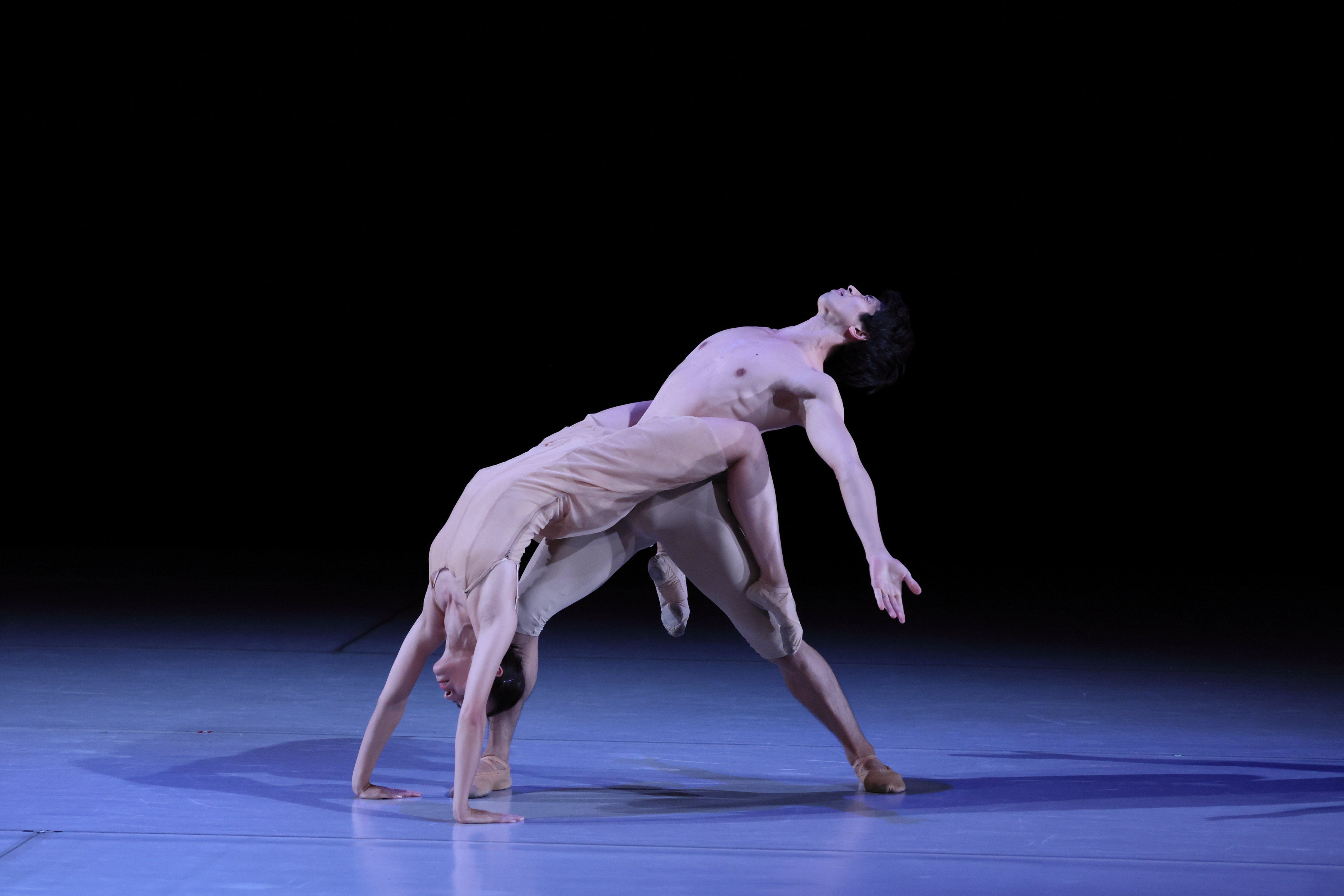 Contemporary Dance Pieces Ⅱ_舞台写真