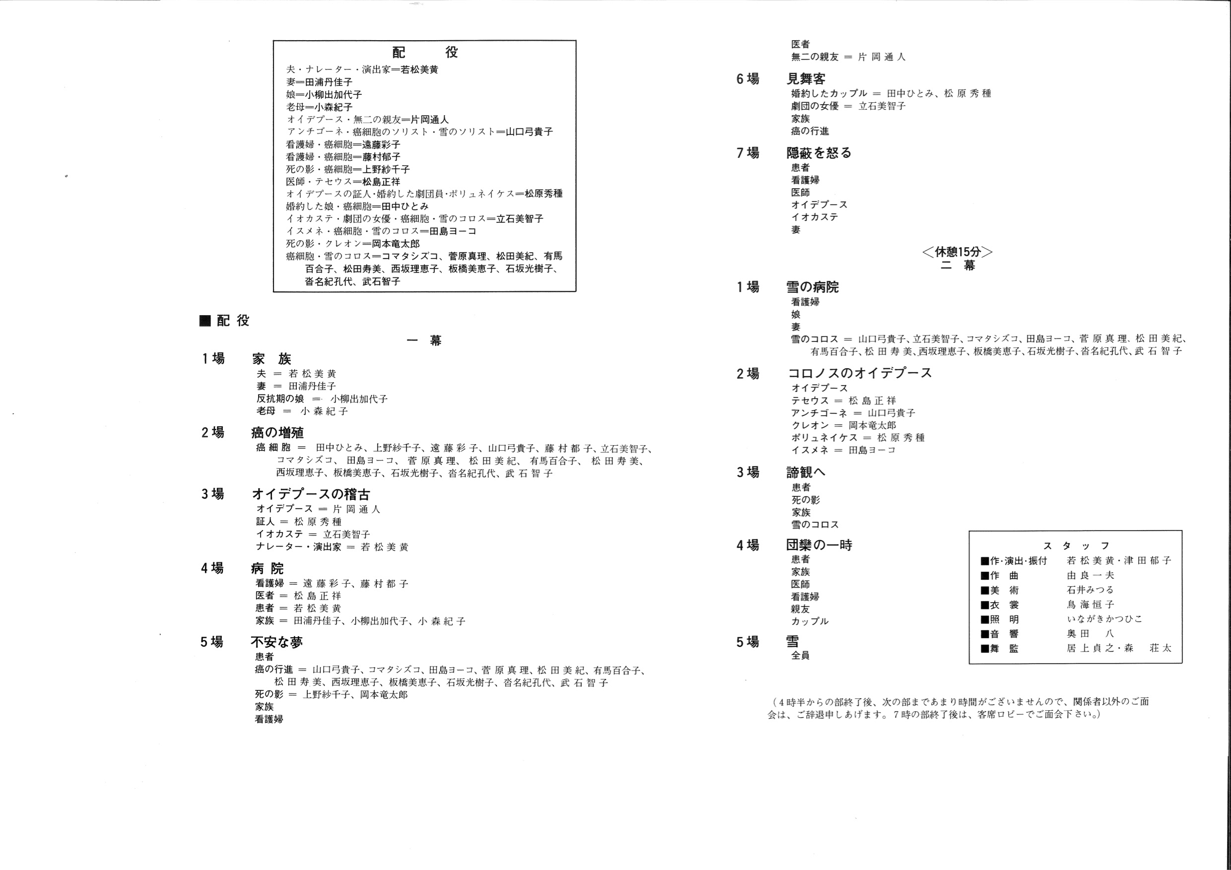 嘘の優しさ_パンフレット