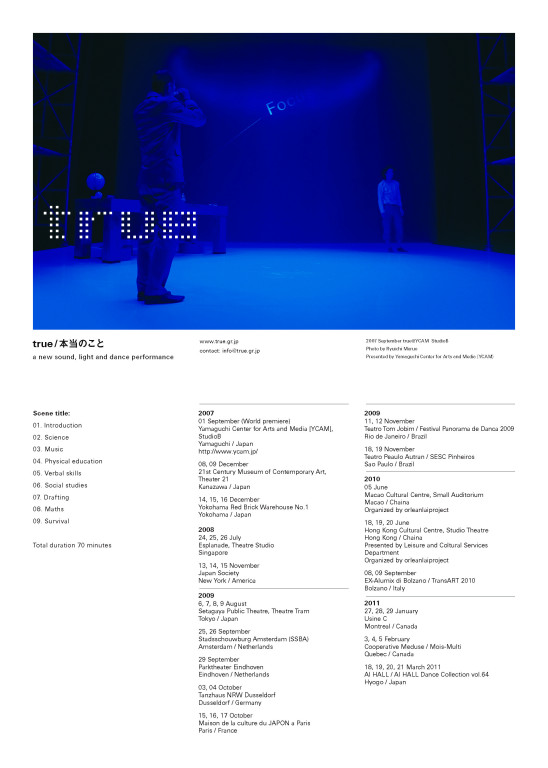 true/本当のこと_パンフレット