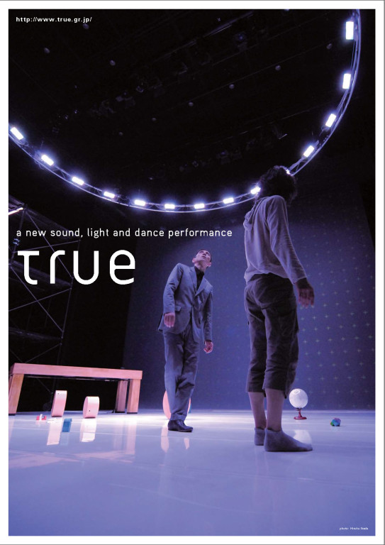 true/本当のこと_パンフレット