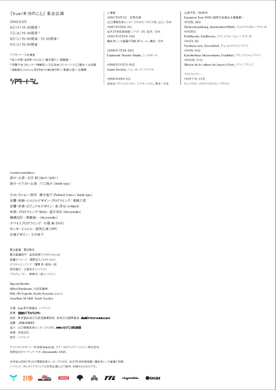 true/本当のこと_パンフレット