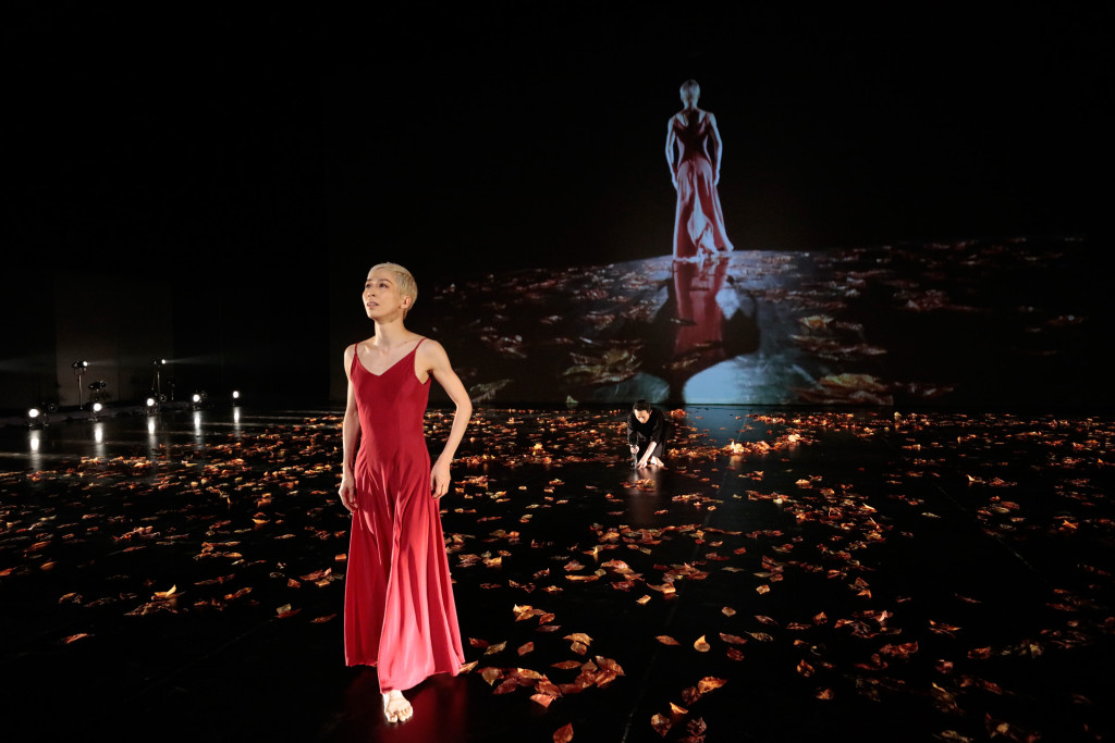 『夏の名残のバラ』_舞台写真