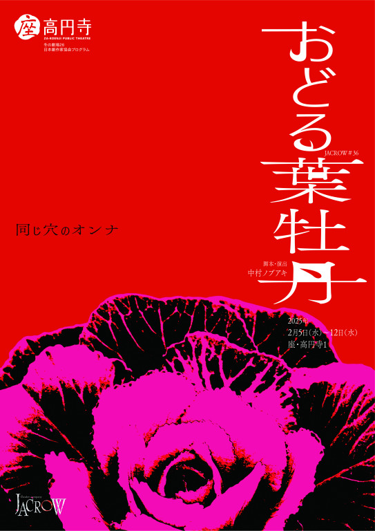 おどる葉牡丹_フライヤー/キービジュアル