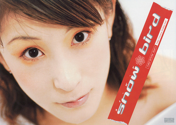 snow bird_フライヤー/キービジュアル