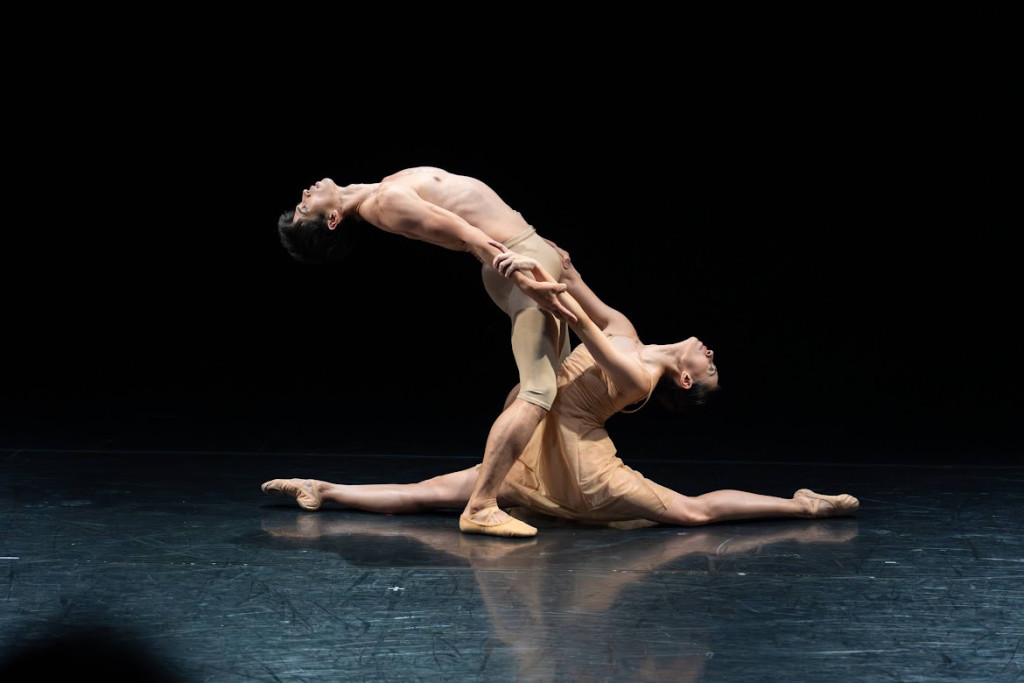 苫野美亜プロデュース　Dance Performance LIVE #10  10th Anniversary  「Danse Noble」_舞台写真