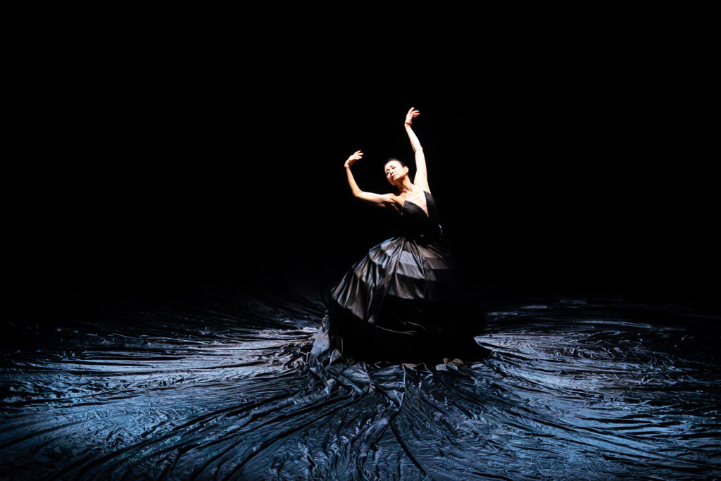 苫野美亜プロデュース　Dance Performance LIVE #10  10th Anniversary  「Danse Noble」_舞台写真