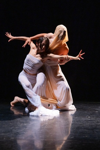 苫野美亜プロデュース　Dance Performance LIVE #10  10th Anniversary  「Danse Noble」_舞台写真