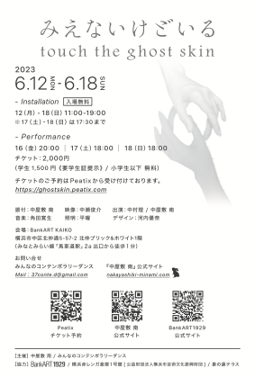 みえないけどいる -touch the ghost skin-_フライヤー/キービジュアル