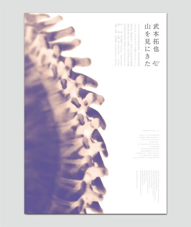 山を見にきた_フライヤー/キービジュアル