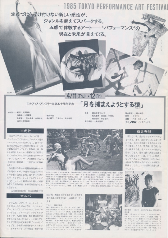 月を捕まえようとする猿（プレスリー）_フライヤー/キービジュアル