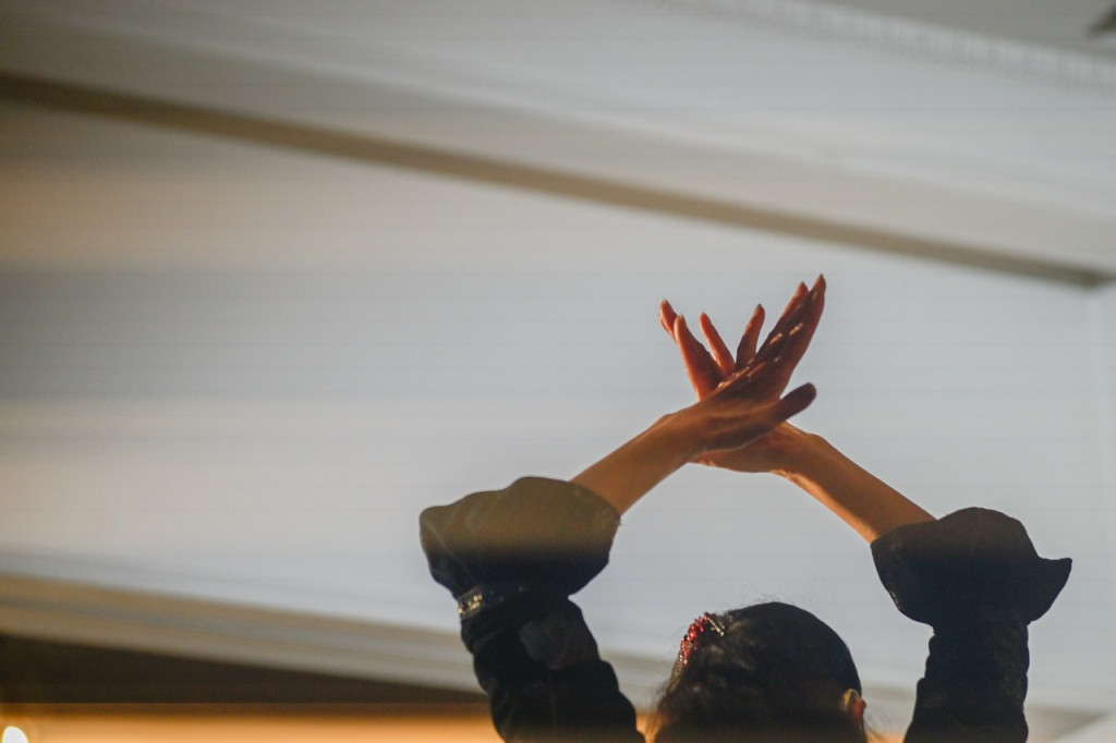 FLAMENCO GALA 2022 TOKYO_舞台写真