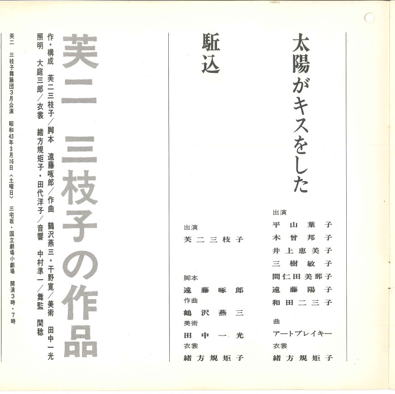太陽がキスをした_パンフレット