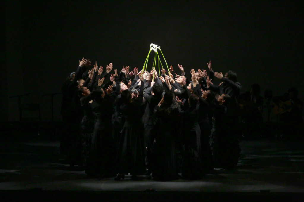 フラメンコのちから （初演）_舞台写真