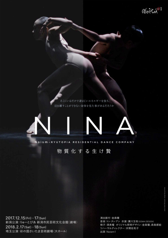 NINA－物質化する生け贄_フライヤー/キービジュアル