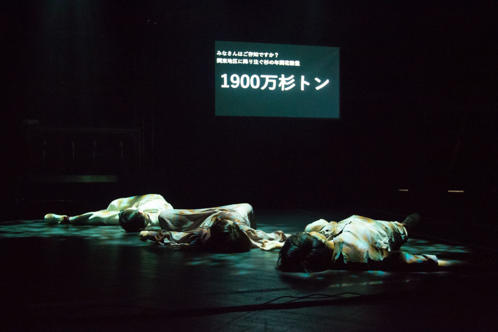 人人人人人←根を張って聳える杉っぽい_舞台写真