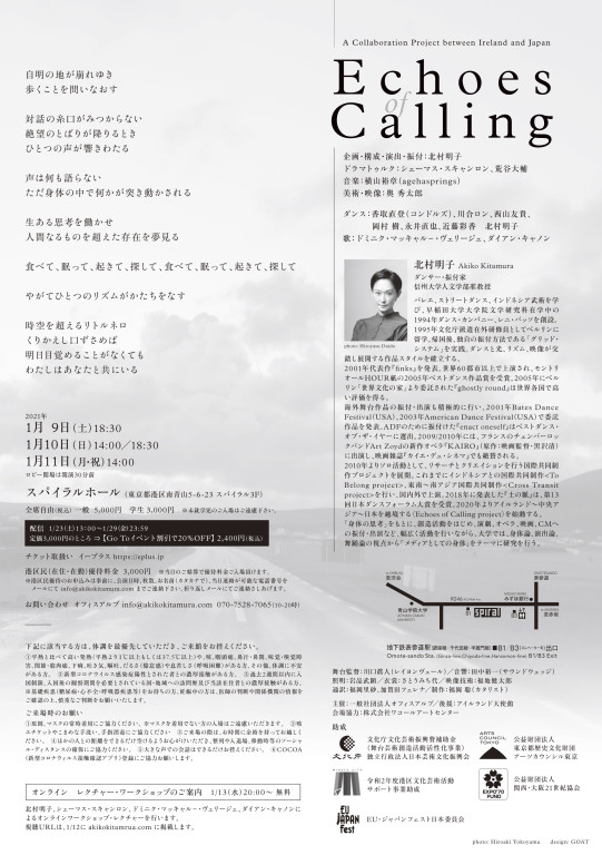 Echoes of Calling_フライヤー/キービジュアル