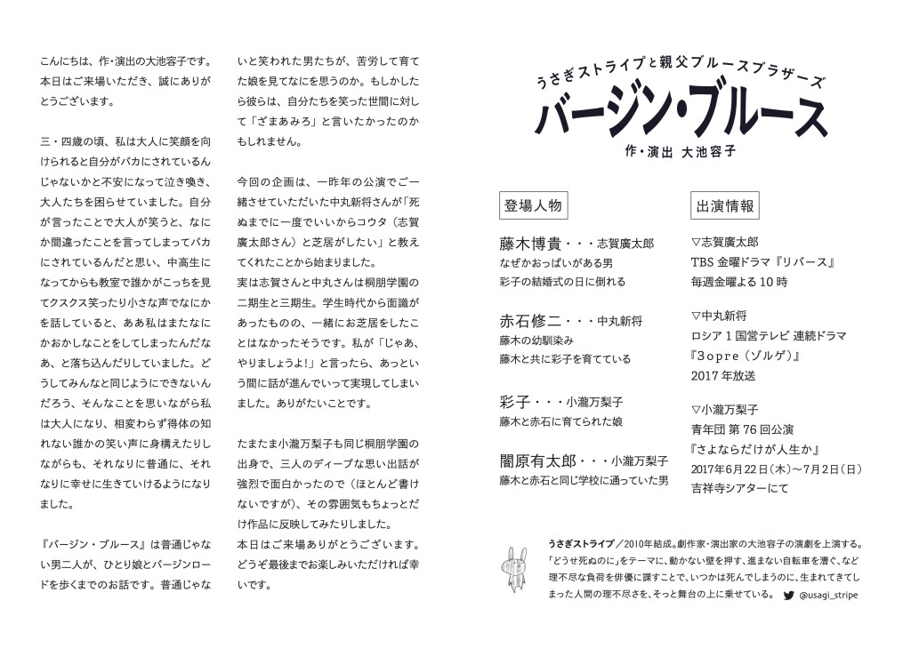 バージン・ブルース_パンフレット