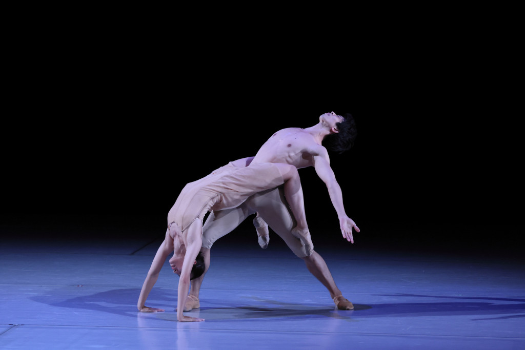 Contemporary Dance Pieces Ⅱ_舞台写真
