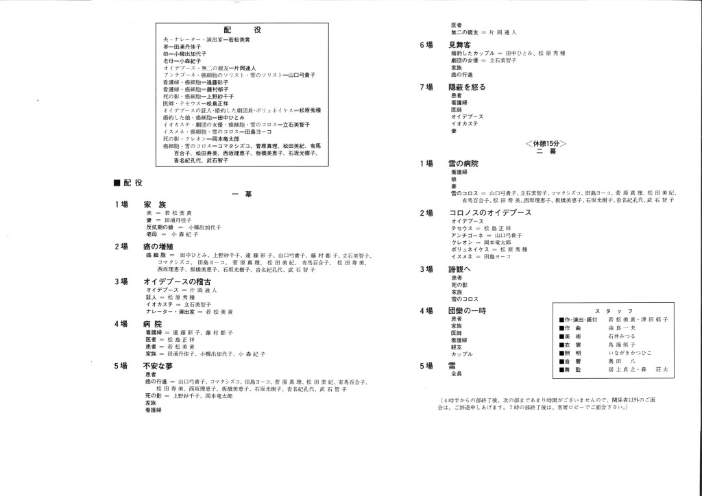 嘘の優しさ_パンフレット