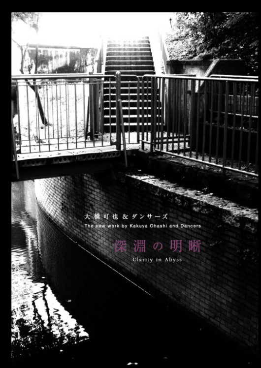 深淵の明晰_フライヤー/キービジュアル