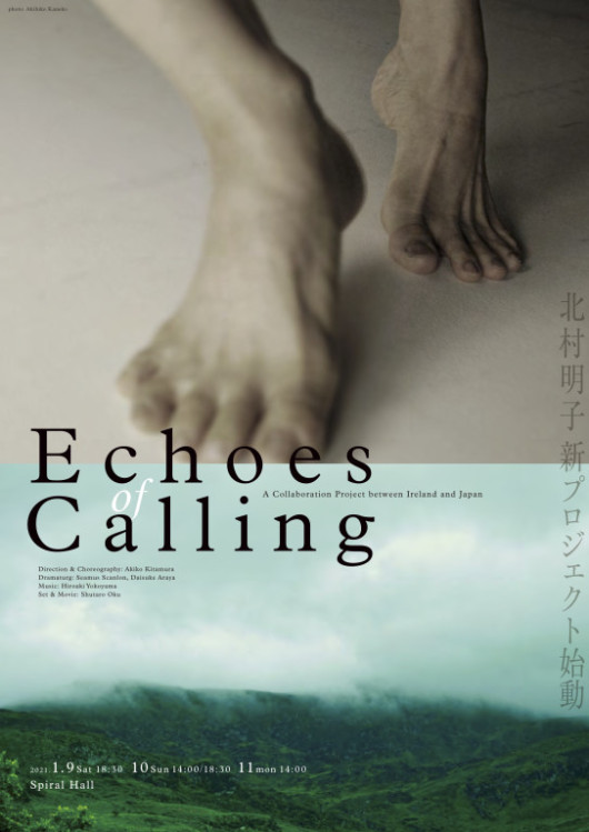 Echoes of Calling_フライヤー/キービジュアル