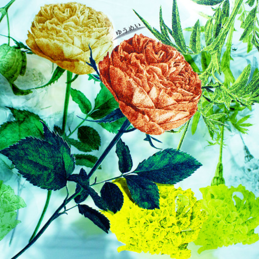 弟兄_フライヤー/キービジュアル