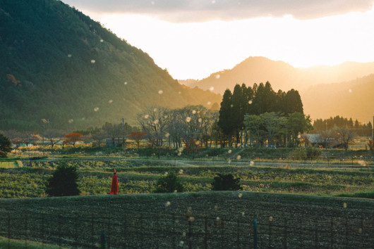風景によせて2024 -かざまち-_舞台写真