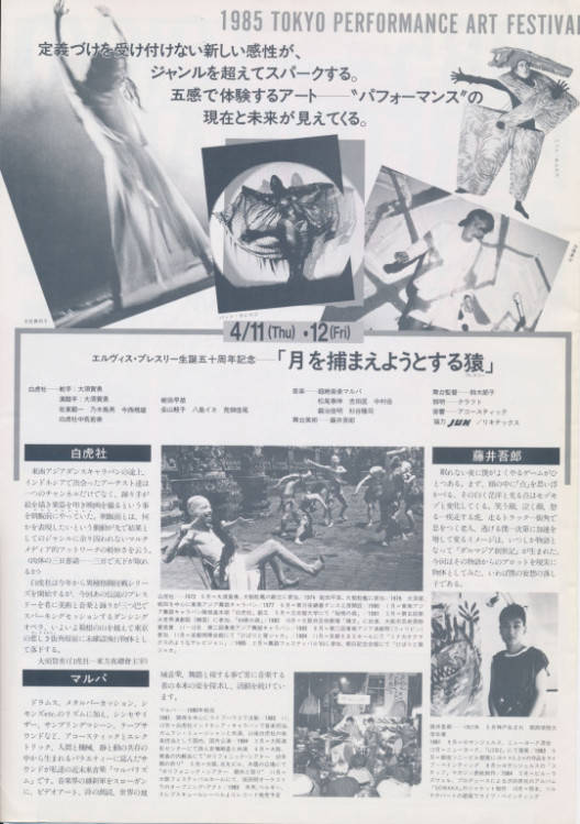 月を捕まえようとする猿（プレスリー）_フライヤー/キービジュアル